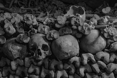 Catacombs of Paris - Photo of Wissous
