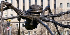 'Spider' (1996, cast 1997) by Louise Bourgeois -- National Gallery of Art Sculpture Garden NW Washington (DC) February 2021