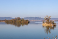Lac de Madine - Photo of Euvezin