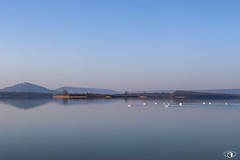 Lac de Madine - Photo of Limey-Remenauville