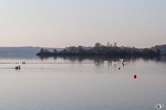 Lac de Madine - Photo of Beney-en-Woëvre