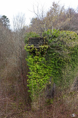 Fort de Plappeville/Feste Alvensleben - Forêt de Plappeville - Photo of Sainte-Marie-aux-Chênes