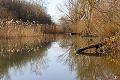 Lac de Madine - Photo of Loupmont