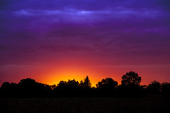 Trees shape on sunset - Photo of Sorbier