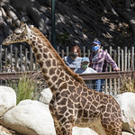 Los Angeles Zoo March 2020 -372