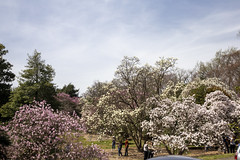 National Arboretum 27 Mar 2021  (285)