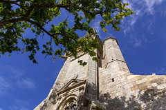 L-arbre et le clocher - Photo of Plogastel-Saint-Germain