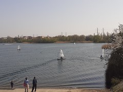 Lac de Créteil 2021 (10) - Photo of Wissous