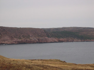 Day 2 - Newfoundland