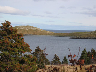Day 1 - Newfoundland