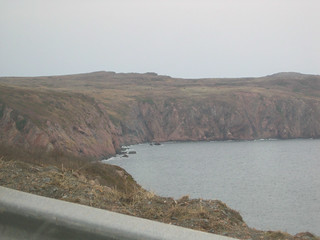 Day 2 - Newfoundland