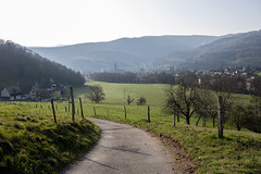 Munster - Photo of Linthal