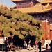 Beijing - Yonghegong Temple 1995