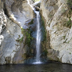 Eaton Canyon Falls in Alta Dena -341