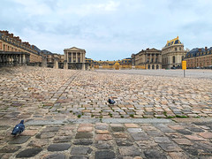 Versailles brille pour ses 2 pigeons visiteurs - Photo of Versailles