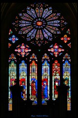 Cathédrale St-Étienne - Bourges (Cher, Centre-Val de Loire, France) - Photo of Bourges