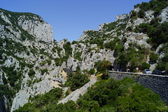 Gorges de Galamus - Photo of Prugnanes