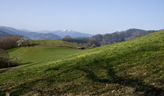 mountain - Photo of Linthal