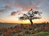 Dartmoor in Colour - Images taken on LiveMOS sensor cameras