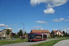 Iveco Bus Créalis 18 n°2916  -  Montbéliard, EVOLITY