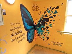 BATTEMENT D-AILES - Photo of Les Pavillons-sous-Bois