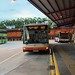 SMRT Buses - MAN A24 (SMB8013X) on 903