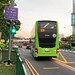 Tower Transit Singapore - MAN A95 (3-door) SG6285T on 334 - Rear