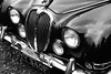 Vintage Jaguar at a car festival in Torquay. This image is provided on an as-is basis, royalty free for personal editorial, blog and web display usage.  - Black and White (Monochrome) Photography