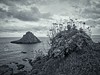 Thatcher Rock Torquay in mono tones. This image is provided on an as-is basis, royalty free for personal editorial, blogs and web display usage. - Royalty Free Seascape & Boating Images