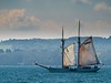 Dutch schooner in Torbay. This image is provided on an as-is basis, royalty free for personal editorial and web display usage only. - Royalty Free Seascape & Boating Images