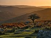 Dawn on Dartmoor. This image is provided on an as-is basis, royalty free for personal editorial and web display usage only. - Royalty Free Dartmoor Images