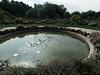The pool at Brunel Manor in Torquay. This image is provided on an as-is basis, royalty free for personal editorial and web display usage only. - Royalty Free Landscape Images