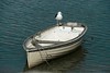 Boat with seagull. This image is provided on an as-is basis, royalty free for personal editorial, blogs and web display usage. - Royalty Free Seascape & Boating Images