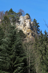 Burg im Leimental_42 - Photo of Durmenach