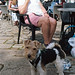 Lucy & Evie the Dog - © Paul Louis Archer