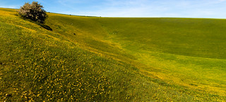 Head of the Buttercup valley