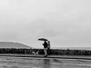 People with umbrella walkig a dog along the sea wall at Salcombe. This image is provided on an as-is basis, royalty free for personal editorial, blog and web display usage. - Royalty Free People & Candid Situations