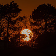 Sunset - Photo of Le Pian-Médoc