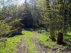 hut in the woods - Photo of Colroy-la-Roche