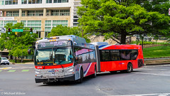 WMATA Metrobus 2020 New Flyer Xcelsior XD60 #5516