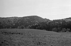 pasture - Photo of Colroy-la-Roche
