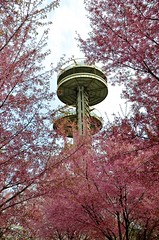 New York State Pavilion Observation Towers In The Spring