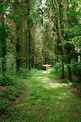 Arboretum de Lyons - Photo of Montroty