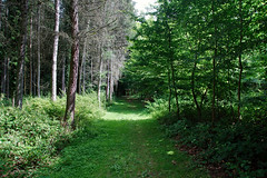Arboretum de Lyons - Photo of Bézu-la-Forêt