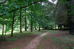 Arboretum de Lyons