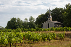 La Chapelle au milieu des vignes - Photo of Saint-Julien-de-Peyrolas