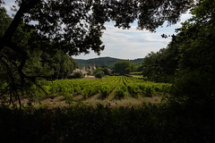 La Chartreuse de Valbonne - Photo of Montclus