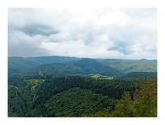 Les Vosges du Nord - Photo of Obersteinbach
