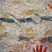 Guanacos en pinturas rupestres (FB)