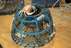Casier à crustacés - Photo of Dieppe